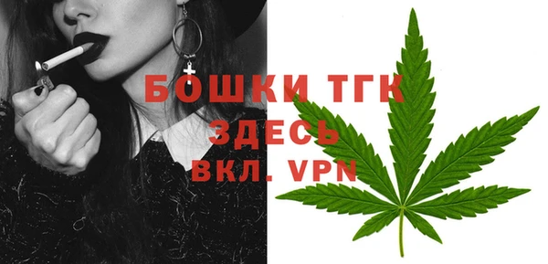 тгк Горно-Алтайск