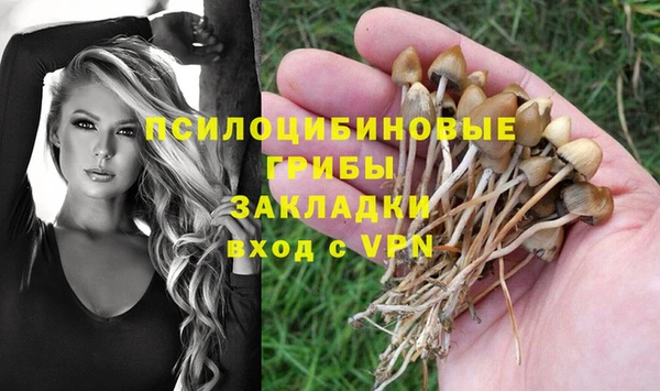 ALPHA-PVP Горнозаводск