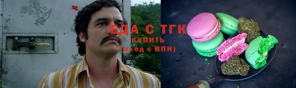 индика Рославль