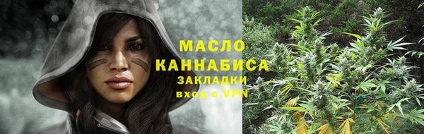 индика Рославль