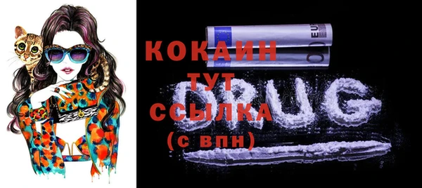 экстази Горняк
