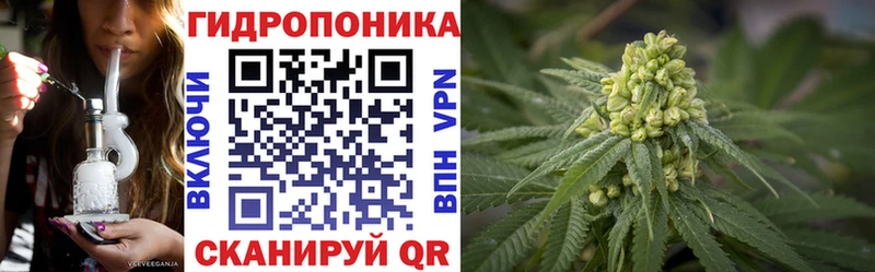 Марихуана марихуана  Подпорожье 